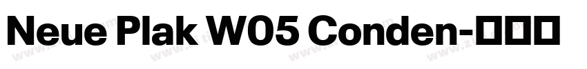 Neue Plak W05 Conden字体转换